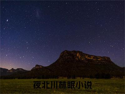 夜北川林眠免费（夜北川林眠）全文免费阅读无弹窗大结局_夜北川林眠免费最新章节列表_笔趣阁