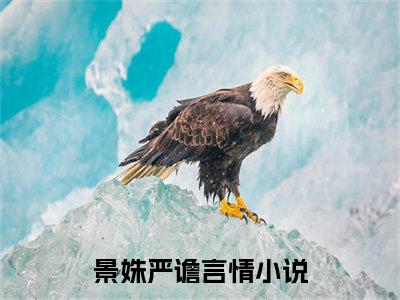 （景姝严谵）是什么小说-（景姝严谵）全文免费阅读无弹窗大结局（景姝严谵）最新章节列表_笔趣阁