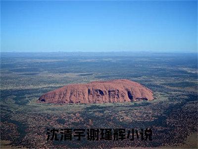 沈清宇谢瑾辉完本小说全集阅读-（沈清宇谢瑾辉）主角的小说是什么名字