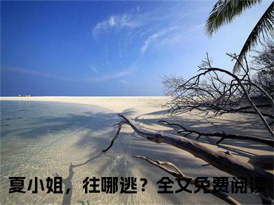 夏芷司珩（夏小姐，往哪逃？）全文免费阅读无弹窗大结局_（夏小姐，往哪逃？免费阅读全文大结局）最新章节列表