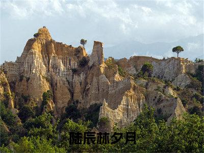 陆辰林夕月小说免费(陆辰林夕月)全文免费阅读无弹窗-陆辰林夕月小说全文免费阅读最新章节列表_笔趣阁