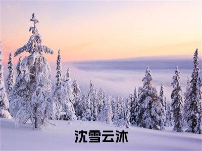 沈雪云沐（沈雪云沐免费小说）全文免费阅读无弹窗大结局_沈雪云沐最新章节列表_笔趣阁（沈雪云沐小说）