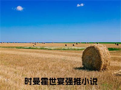 时曼霍世宴（时曼霍世宴小说）全文免费阅读无弹窗大结局_（时曼霍世宴无弹窗）