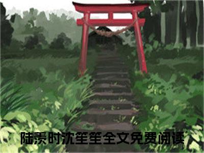 陆羡时沈笙笙(陆羡时沈笙笙)小说免费阅读大结局无弹窗_(陆羡时沈笙笙)最新章节列表笔趣阁（陆羡时沈笙笙）