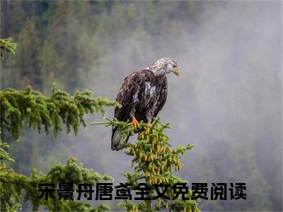 宋景舟唐鸢(宋景舟唐鸢)小说免费阅读-宋景舟唐鸢全文阅读-笔趣阁（宋景舟唐鸢）