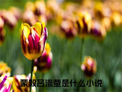 蒙毅吕流萤小说免费阅读 蒙毅吕流萤免费阅读无广告