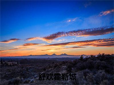 舒欢霍靳城小说最新试读_(舒欢霍靳城免费阅读最新章节列表)_笔趣阁