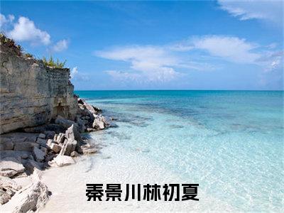 秦景川林初夏小说全文阅读无弹窗大结局_（秦景川林初夏）最新章节列表_笔趣阁