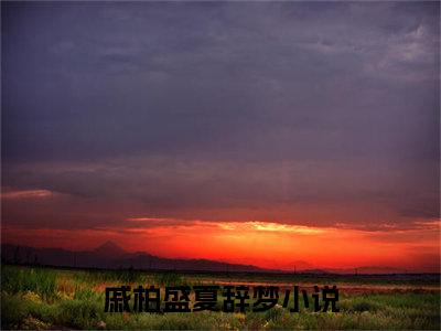 戚柏盛夏辞梦是什么小说-（戚柏盛夏辞梦全文阅读）最新章节列表