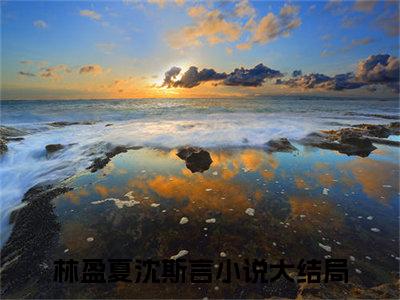 林盈夏沈斯言（林盈夏沈斯言）全文免费阅读无弹窗大结局林盈夏沈斯言