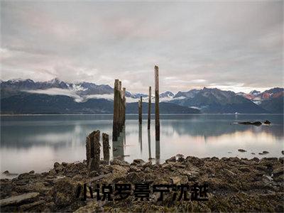 罗景宁沈越(罗景宁沈越)全文免费阅读无弹窗大结局_(罗景宁沈越)最新章节