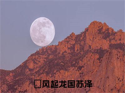 风起龙国苏泽（风起龙国苏泽）全文免费阅读无弹窗大结局_（风起龙国苏泽）最新章节列表笔趣阁