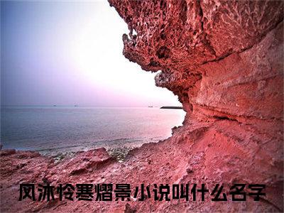 风沐怜寒熠景（风沐怜寒熠景）全文免费阅读无弹窗大结局_（风沐怜寒熠景）最新章节