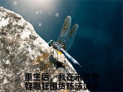 重生后，我在末世带娃疯狂囤货陈沫沫（重生后，我在末世带娃疯狂囤货陈沫沫）全文免费阅读无弹窗大结局_重生后，我在末世带娃疯狂囤货陈沫沫最新章节列表_笔趣阁