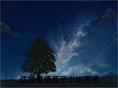 沈晚星傅西京（沈晚星傅西京）全文免费阅读无弹窗大结局_(沈晚星傅西京)最新章节列表_笔趣阁