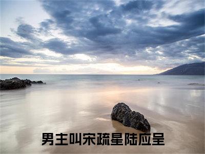 宋疏星陆应呈（宋疏星陆应呈）全文免费阅读无弹窗大结局-宋疏星陆应呈最新章节列表-笔趣阁