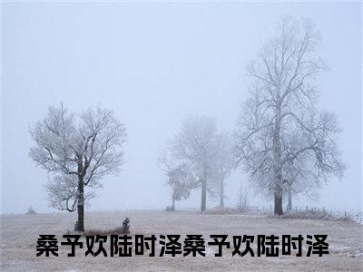 桑予欢陆时泽（桑予欢陆时泽）最新小说全文阅读-热点小说桑予欢陆时泽（桑予欢陆时泽）最新章节免费阅读