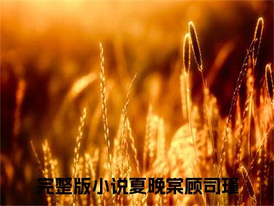 （热推新书）《夏晚棠顾司瑾》全文免费阅读无弹窗大结局-夏晚棠顾司瑾无弹窗阅读