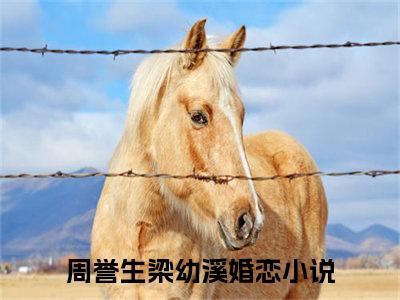 周誉生梁幼溪免费阅读全文免费阅读无弹窗大结局_ (周誉生梁幼溪小说免费阅读)周誉生梁幼溪最新章节阅读