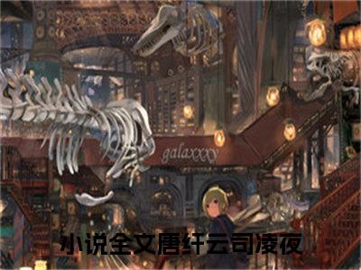 （完整版）热文唐纤云司凌夜小说阅读-唐纤云司凌夜全文抖音热推