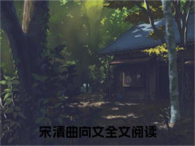 宋清曲向文（送情）小说-宋清曲向文小说免费最新章节列表