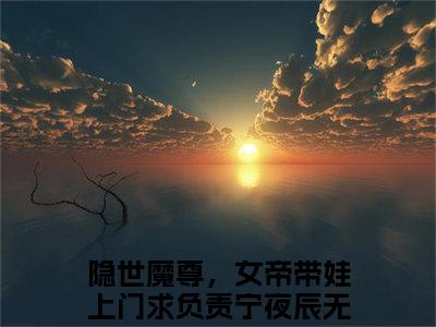 隐世魔尊，女帝带娃上门求负责宁夜辰（隐世魔尊，女帝带娃上门求负责宁夜辰）全文免费阅读最新章节大结局_隐世魔尊，女帝带娃上门求负责宁夜辰最新章节列表_笔趣阁