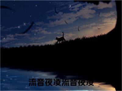 流音夜凌（流音夜凌）在哪免费看-流音夜凌小说（流音夜凌）全文完整版免费阅读