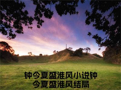 钟今夏盛淮风的小说免费阅读（钟今夏盛淮风小说免费阅读）全文免费阅读大结局-钟今夏盛淮风热门榜单好书推荐