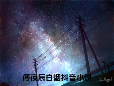 傅夜辰白烟小说免费大结局傅夜辰白烟里全文免费阅读