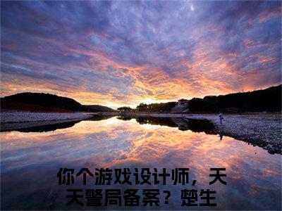 你个游戏设计师，天天警局备案？楚生小说(你个游戏设计师，天天警局备案？楚生)全文免费阅读无弹窗大结局_你个游戏设计师，天天警局备案？楚生小说免费阅读无弹窗最新章节列表_笔趣阁