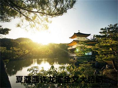 夏蔻蔻许龙濯（夏蔻蔻许龙濯）全文免费阅读无弹窗大结局_夏蔻蔻许龙濯完本小说最新章节阅读