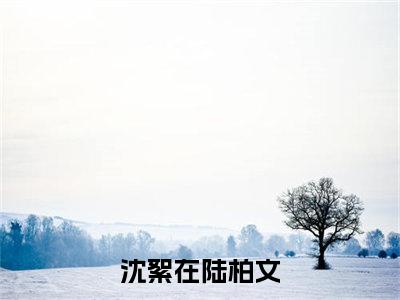 沈絮在陆柏文（沈絮在陆柏文）小说全文免费阅读无弹窗大结局_沈絮在陆柏文（沈絮在陆柏文无弹窗）最新章节列表笔趣阁（沈絮在陆柏文）