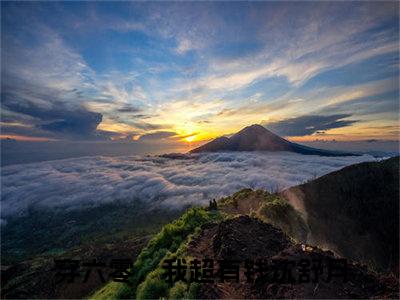 穿六零，我超有钱沈舒月（穿六零，我超有钱沈舒月）全文免费阅读大结局-（穿六零，我超有钱沈舒月）最新章节阅读