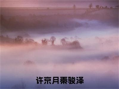 许京月秦骏泽小说免费阅读许京月秦骏泽小说全文免费阅读_许京月秦骏泽最新章节列表笔趣阁