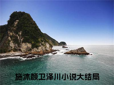 施沐颜卫泽川笔趣阁免费小说_施沐颜卫泽川笔趣阁全文阅读