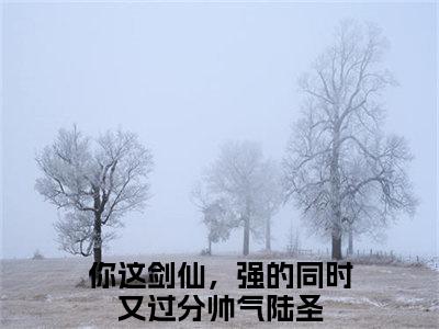 你这剑仙，强的同时又过分帅气陆圣精彩章节免费阅读-你这剑仙，强的同时又过分帅气陆圣小说完整版