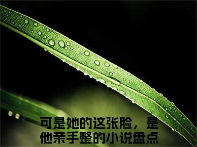 虞苒苒沈淮序免费阅读无弹窗，小说可是她的这张脸，是他亲手整的大结局全文免费阅读