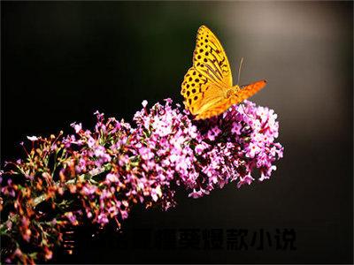 宫泽铭夏槿葵（宫泽铭夏槿葵）全文免费阅读无弹窗_宫泽铭夏槿葵最新小说_笔趣阁（宫泽铭夏槿葵）