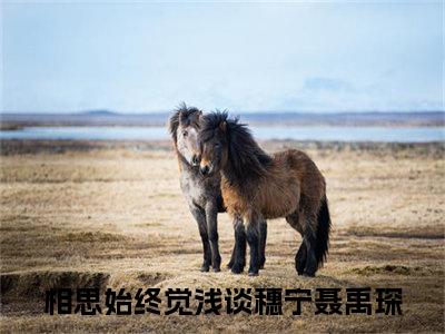 谈穗宁聂禹琛（相思始终觉浅）全文免费阅读无弹窗大结局_（相思始终觉浅在线阅读）最新章节列表笔趣阁（相思始终觉浅）