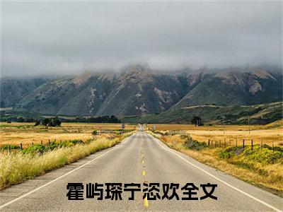 霍屿琛宁恣欢是啥小说 霍屿琛宁恣欢免费阅读无广告