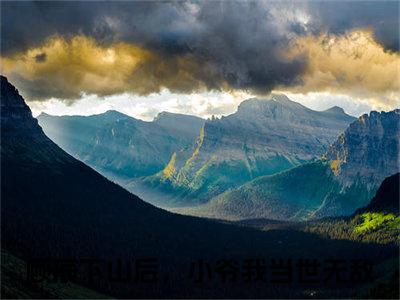 顾辰（下山后，小爷我当世无敌）小说在线阅读_顾辰免费阅读笔趣阁（下山后，小爷我当世无敌）