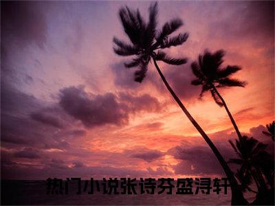 主角为张诗芬盛浔轩的小说（张诗芬盛浔轩）无弹窗大结局-张诗芬盛浔轩最新小说全文阅读最新章节列表_笔趣阁