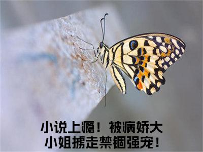 顾一然叶瑶儿（上瘾！被病娇大小姐掳走禁锢强宠！小说）全文免费阅读无弹窗大结局_上瘾！被病娇大小姐掳走禁锢强宠！小说免费阅读最新章节列表