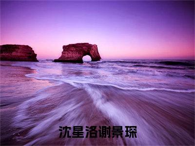 沈星洛谢景琛（沈星洛谢景琛）全文在线阅读无弹窗大结局_（沈星洛谢景琛）最新章节列表_笔趣阁