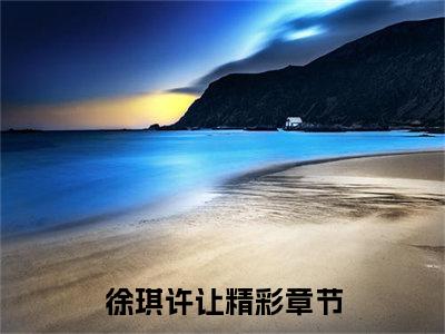 小说《徐琪许让》全文免费阅读无弹窗-徐琪许让小说全文在线赏析