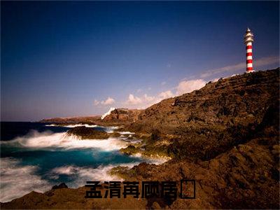 孟清苒顾居峖（孟清苒顾居峖）全文在线阅读无弹窗大结局_（孟清苒顾居峖）孟清苒顾居峖最新章节列表_笔趣阁（孟清苒顾居峖）