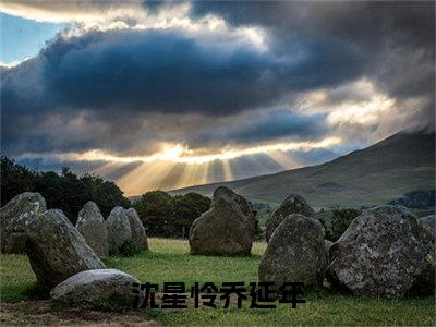 沈星怜乔延年(沈星怜乔延年)全文免费阅读无弹窗大结局_(沈星怜乔延年)免费阅读无弹窗最新章节列表