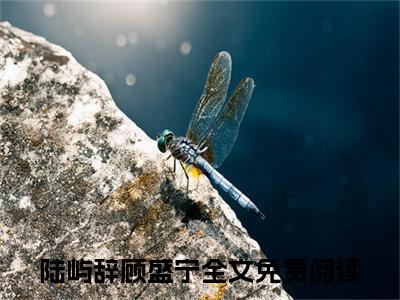 陆屿辞顾盛宁全文免费阅读_陆屿辞顾盛宁（陆屿辞顾盛宁）最新章节列表笔趣阁