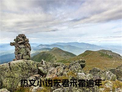 宋君禾霍逾年（宋君禾霍逾年）全文无弹窗大结局_宋君禾霍逾年小说最新章节列表