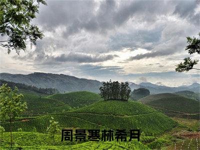 周景寒林希月正版小说最新章节在线阅读-小说周景寒林希月已完结全集大结局